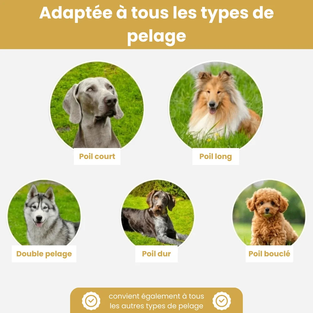 FurBrush™ | Brosse anti-mue