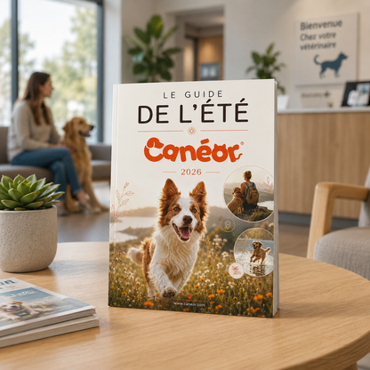 Le Guide de l'Été Canéor® | Protéger votre chien de la chaleur