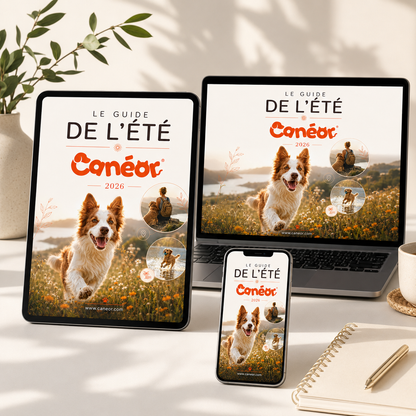 Le Guide de l'Été Canéor® | Protéger votre chien de la chaleur