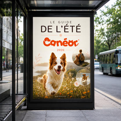 Le Guide de l'Été Canéor® | Protéger votre chien de la chaleur