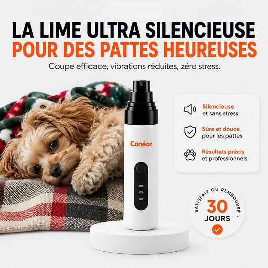 PawZen