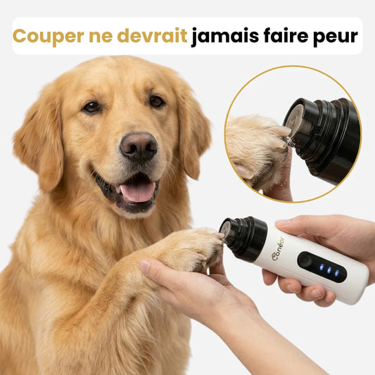 PawZen™ | Lime électrique pour chien