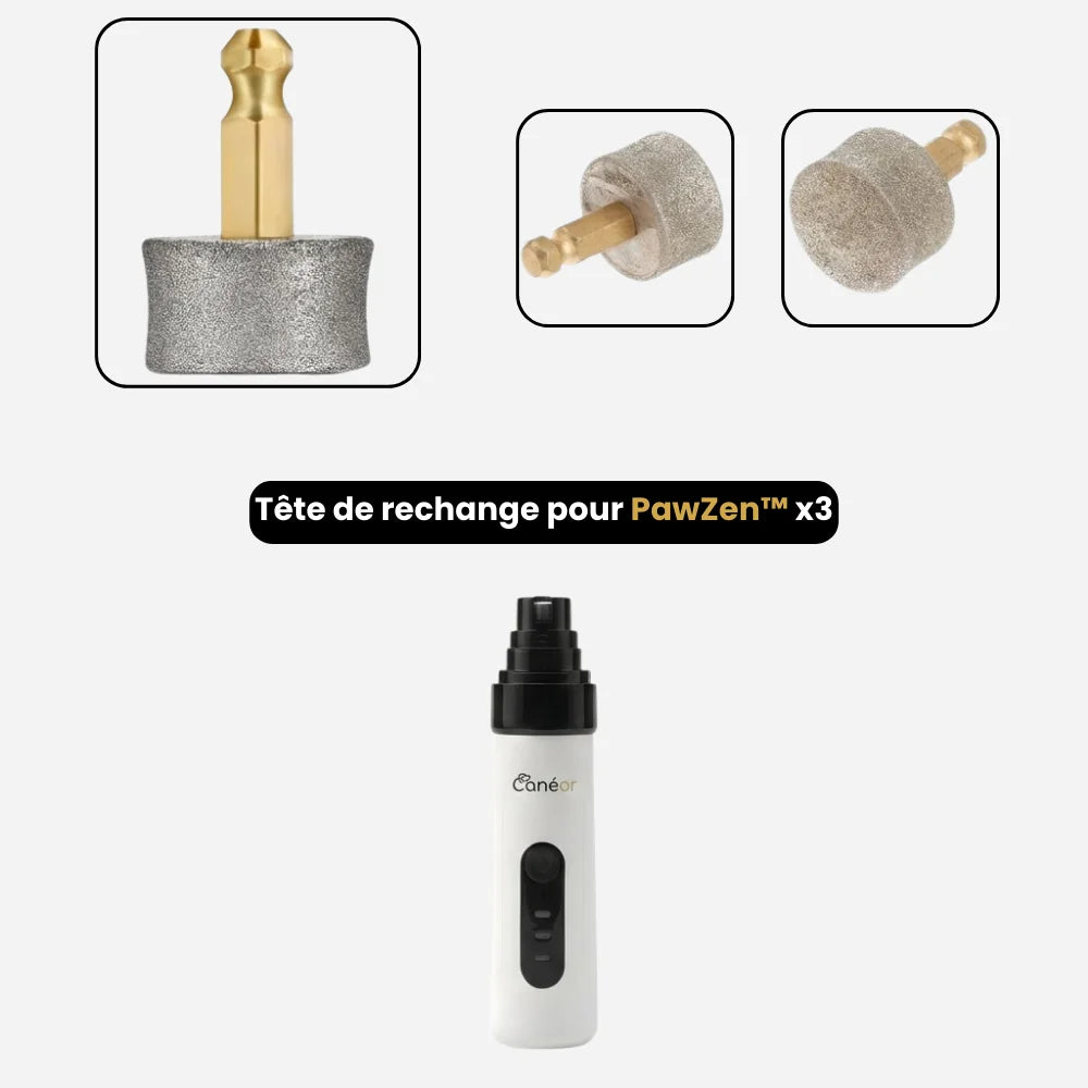 Tête de rechange pour PawZen™ x3