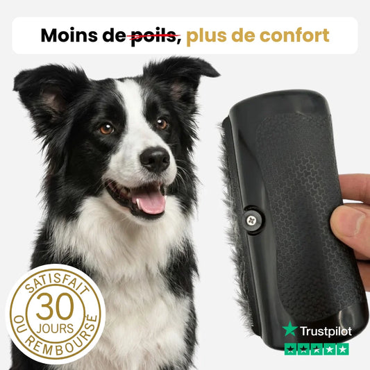 FurBrush™ | Brosse anti-mue