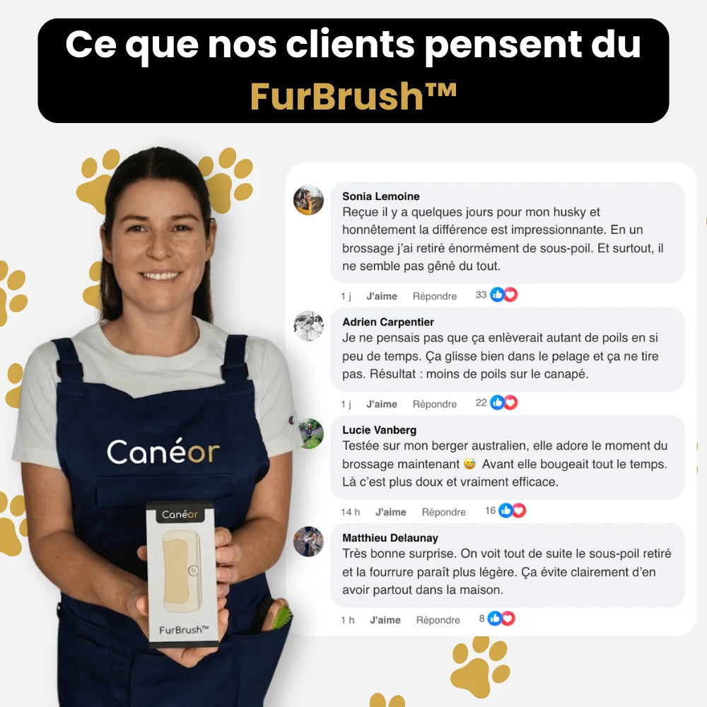 FurBrush™ | Brosse anti-mue