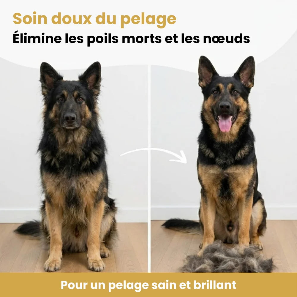 FurBrush™ | Brosse anti-mue