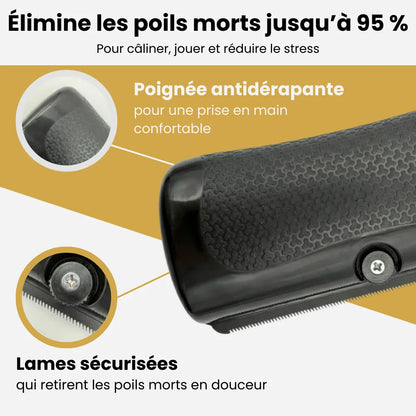 FurBrush™ | Brosse anti-mue