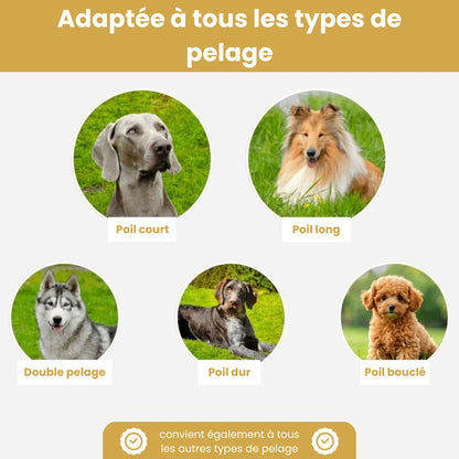 FurBrush™ | Brosse anti-mue