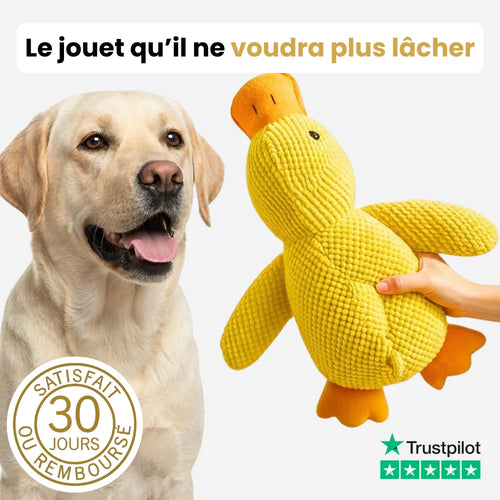 ZenQuack™ | Le canard anti-stress