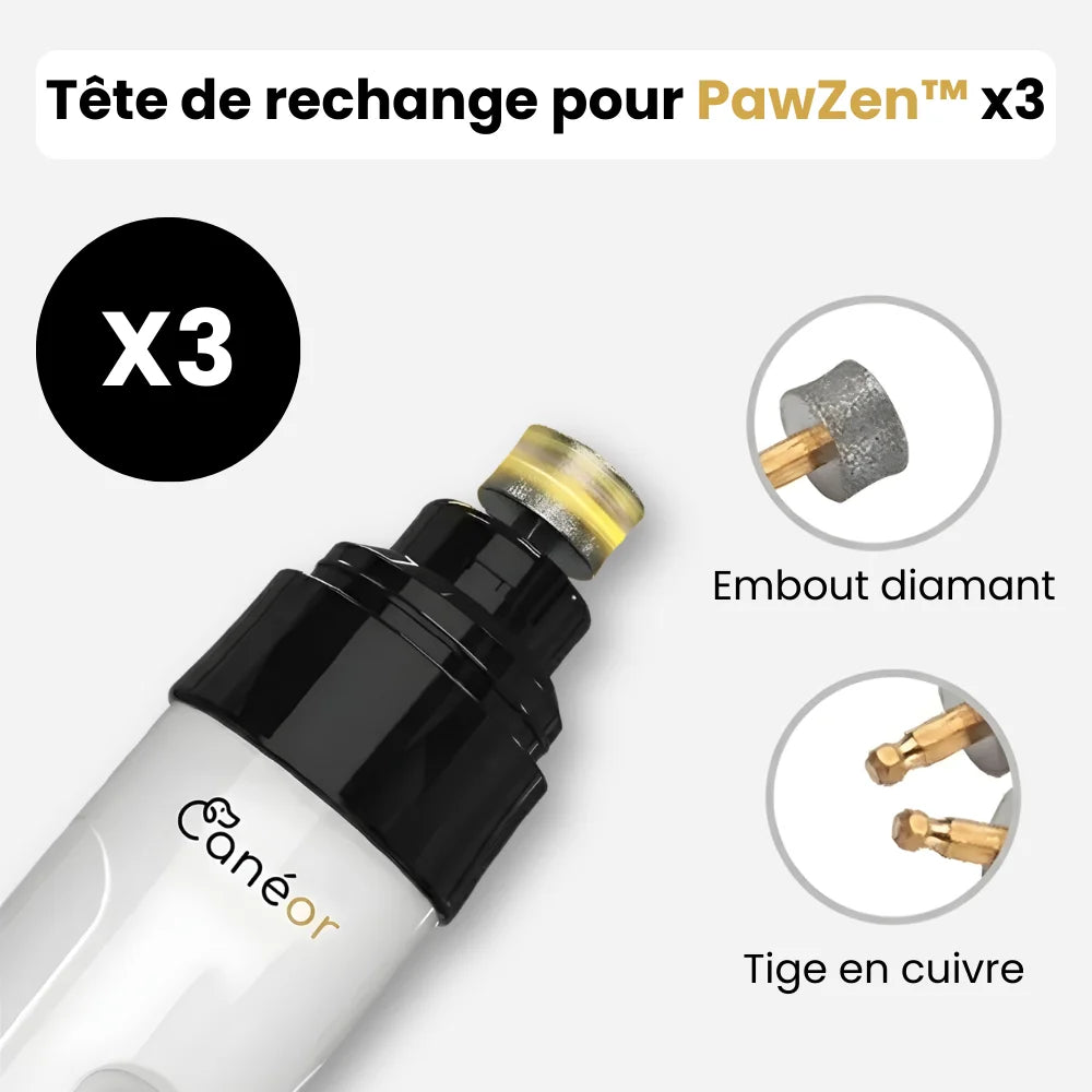 Tête de rechange pour PawZen™ x3