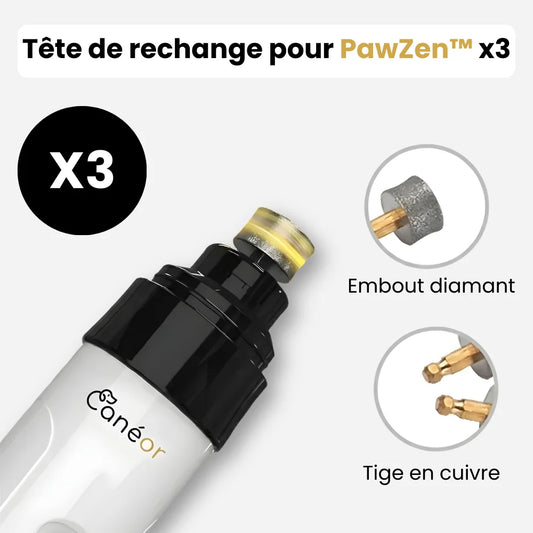 Tête de rechange pour PawZen™ x3