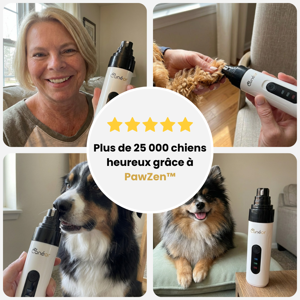 PawZen™ | Lime à griffes électrique