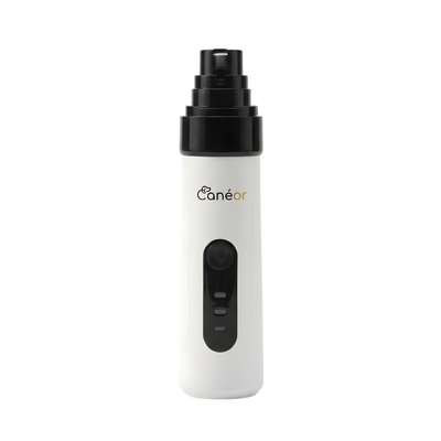 Canéor