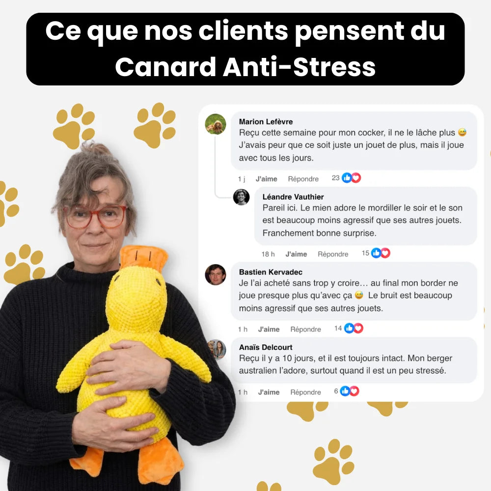 ZenQuack™ | Canard anti-stress