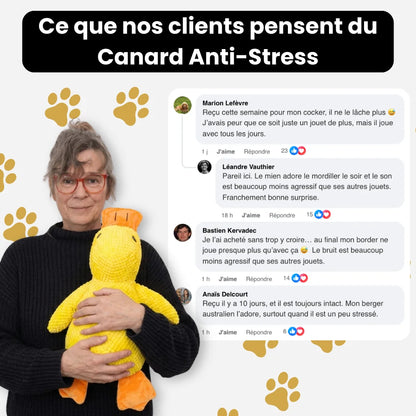 ZenQuack™ | Canard anti-stress