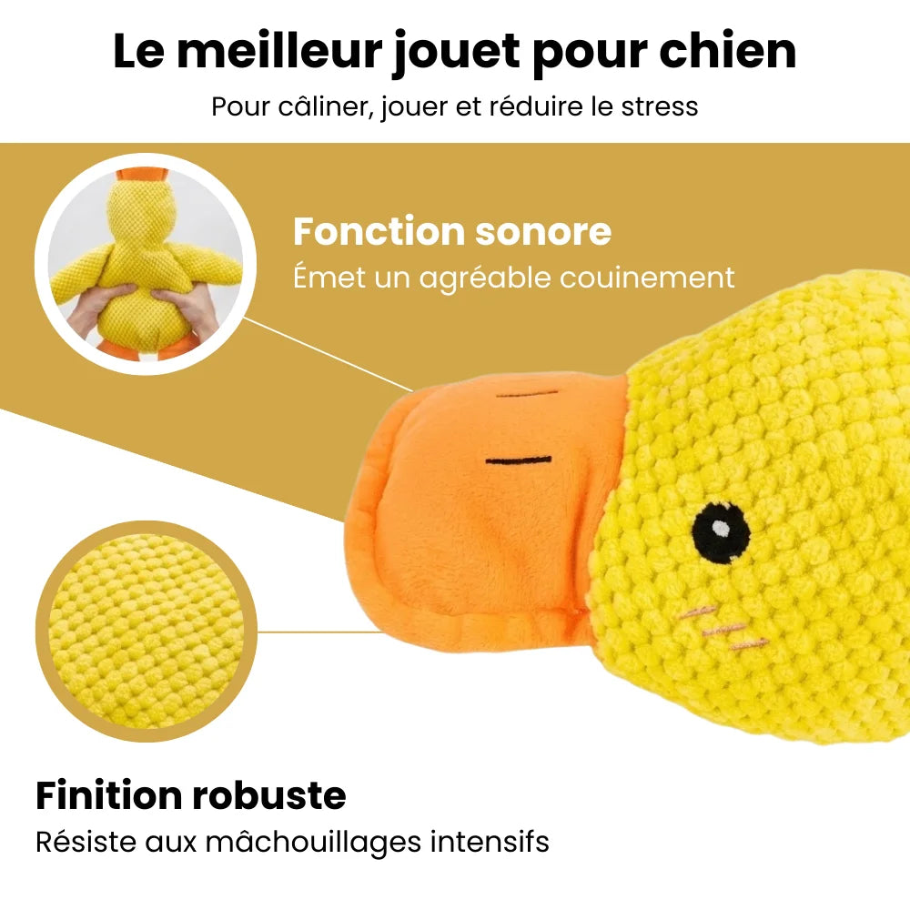 ZenQuack™ | Canard anti-stress