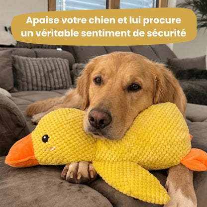 ZenQuack™ | Canard anti-stress