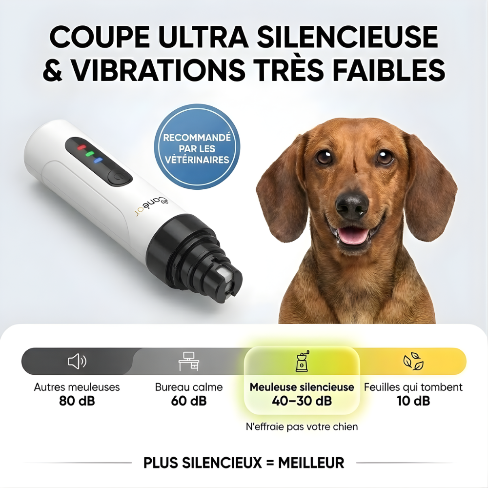 PawZen™ | Lime à griffes électrique