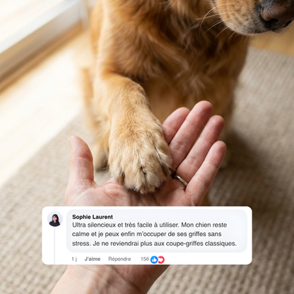 PawZen™ | Lime à griffes électrique