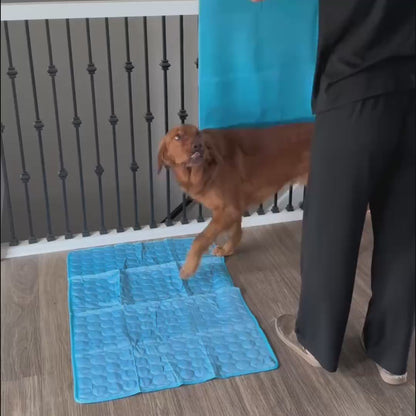 FreshPad™ | Tapis Rafraîchissant pour chien et chat